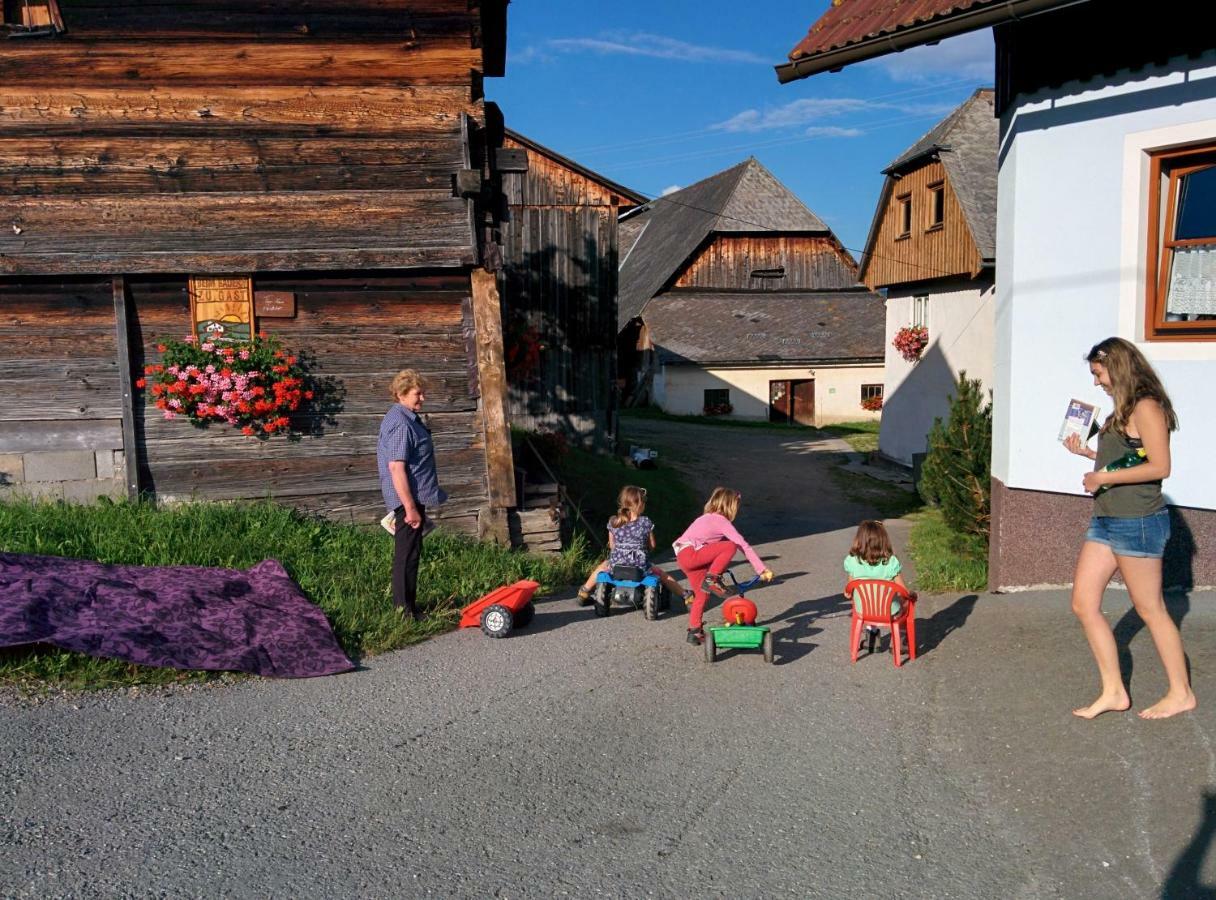 Rettlhof Villa Sankt Peter am Kammersberg Buitenkant foto
