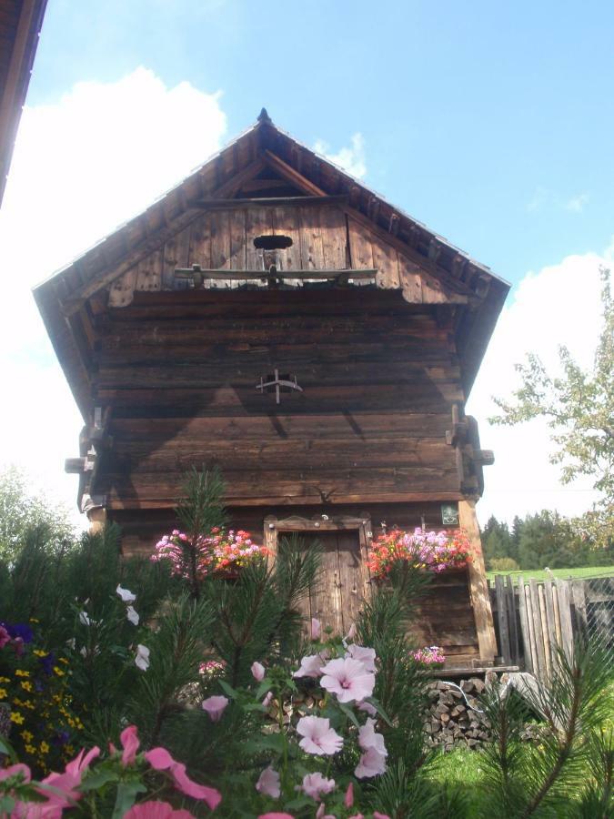 Rettlhof Villa Sankt Peter am Kammersberg Buitenkant foto