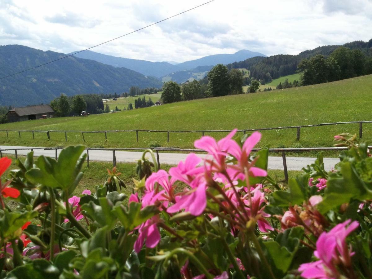 Rettlhof Villa Sankt Peter am Kammersberg Buitenkant foto