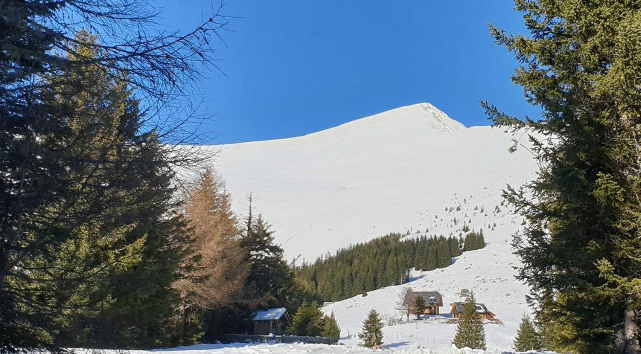 Rettlhof Villa Sankt Peter am Kammersberg Buitenkant foto